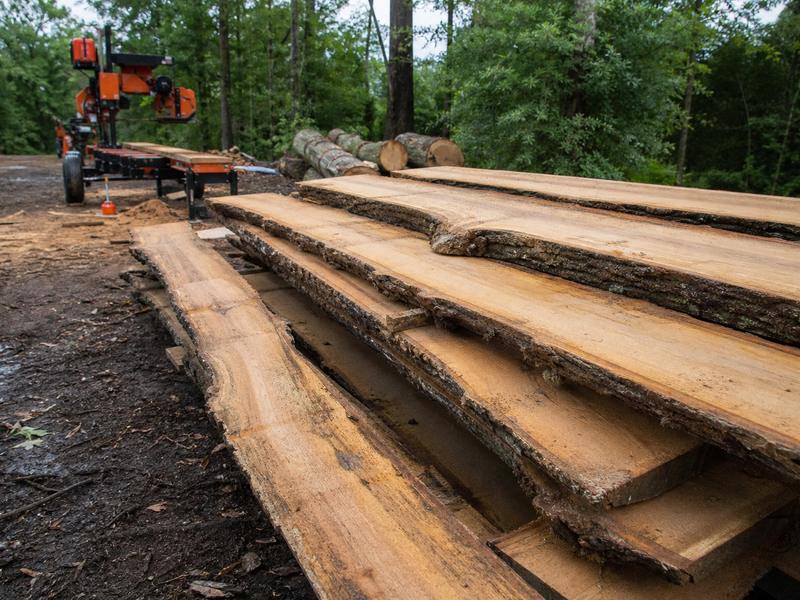 Milled hardwood slabs beside cut logs
