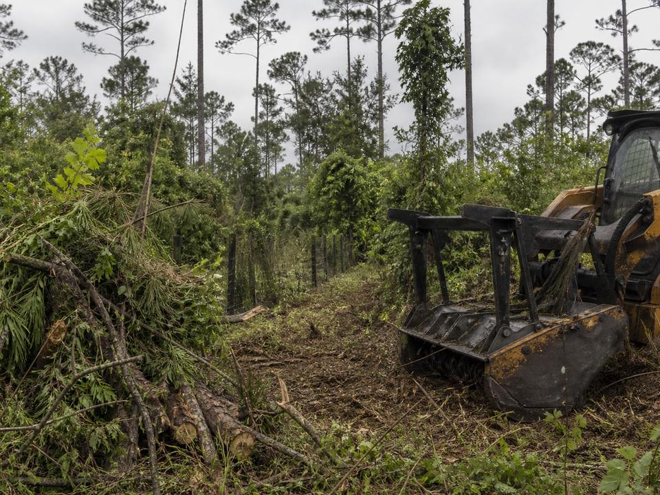 Overgrown Louisiana lot being cleared